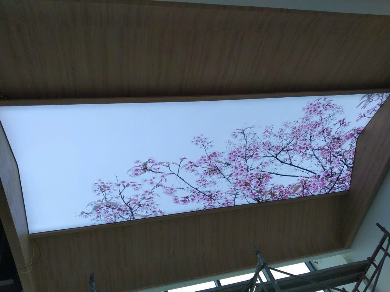 ảnh sản phẩm Đèn Trần Xuyên Sáng – Sự Kết Hợp Hoàn Hảo Giữa Thẩm Mỹ và Chức Năng